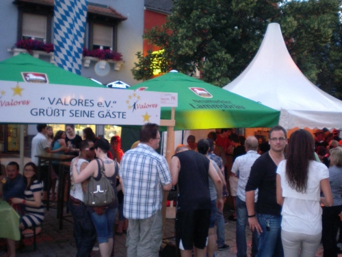 2012-06-16-altstadtfest-nm (19)