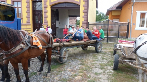 2013-08-26-rumaenienreise-alm-jaad (3)