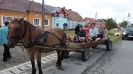 2013-08-26-rumaenienreise-alm-jaad (4)