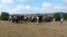 2013-08-26-rumaenienreise-alm-jaad (8)