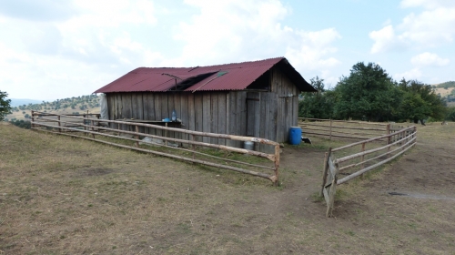 2013-08-26-rumaenienrundreise-alm-jaad (4)